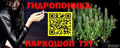 ALPHA PVP Уссурийск