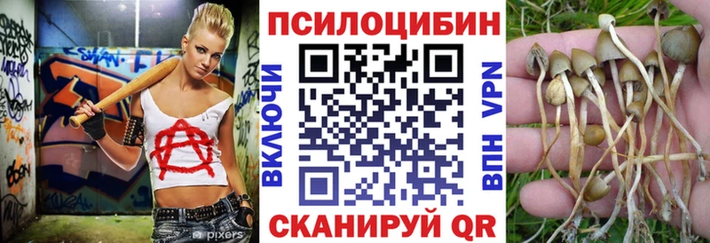даркнет Telegram  Новосибирск  Псилоцибиновые грибы прущие грибы  кракен как зайти 