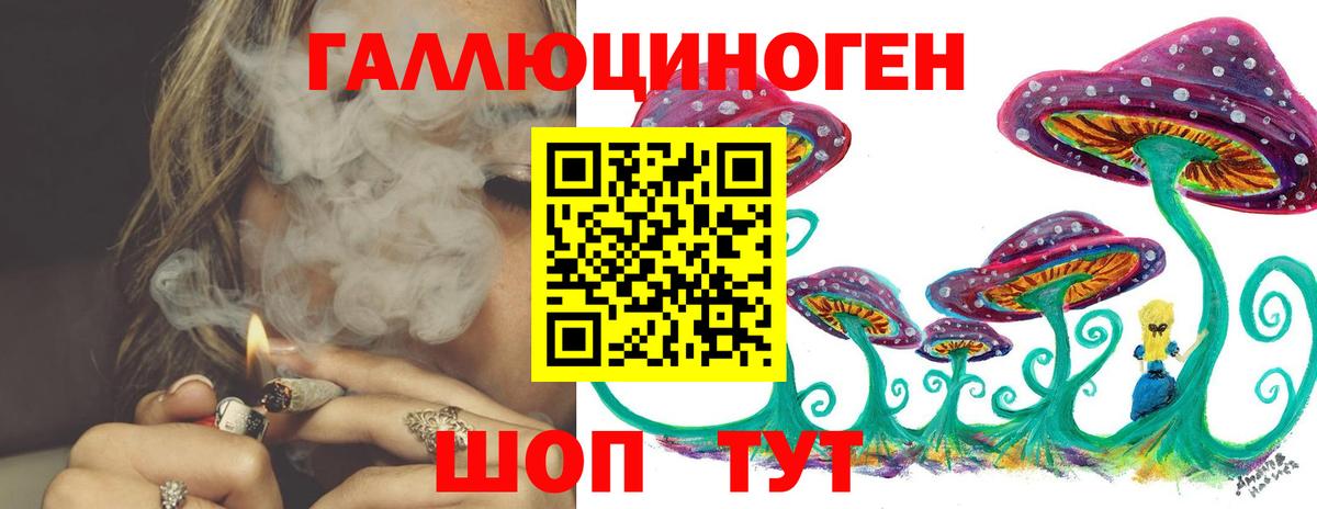 Новосибирск  Галлюциногенные грибы Psilocybine cubensis  Вход с VPN  Псилоцибиновые грибы мицелий 